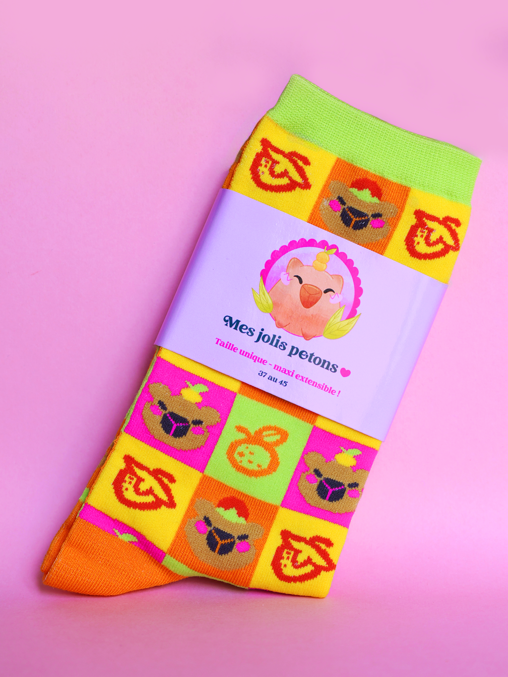 Capybara | Chaussettes