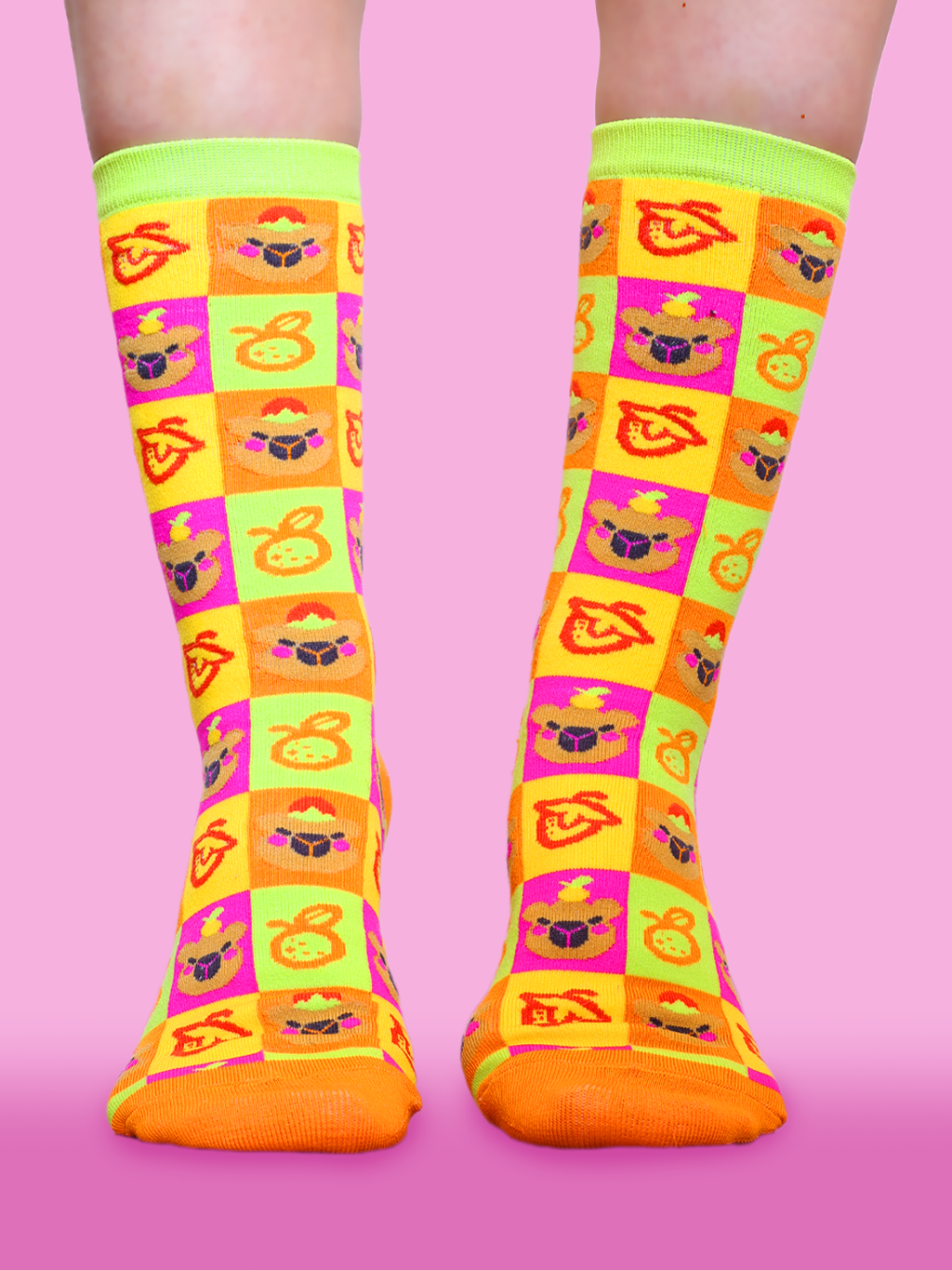 Capybara | Chaussettes